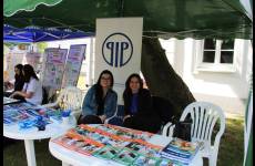 IMG_0880_original
